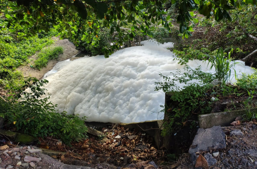  Sudema coleta amostras de água do Rio Jaguaribe, em João Pessoa, após formação de espuma branca