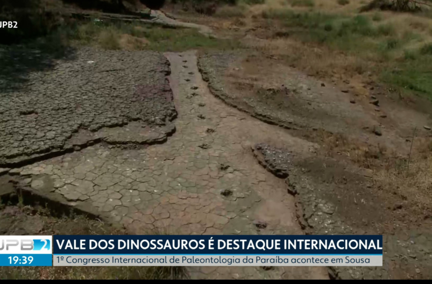  Pesquisador relembra descoberta de pegadas de dinossauros em Sousa, PB: ‘Ninguém sabia’