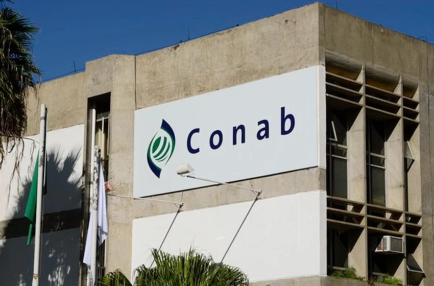  Conab publica edital de concurso com salários que passam de R$ 8 mil; veja vagas na Paraíba