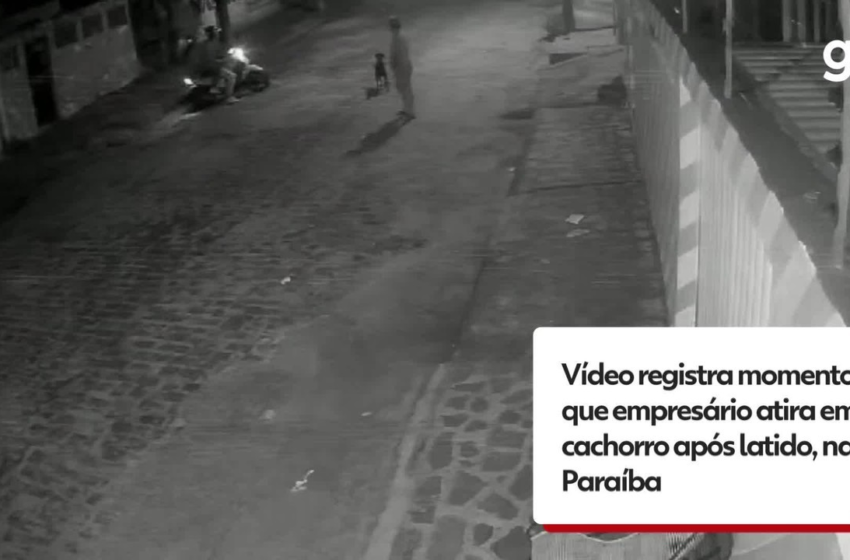  Vídeo registra momento que empresário atira em cachorro após latido, na Paraíba