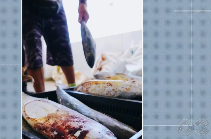  Mais de 50 pessoas são atendidas com intoxicação alimentar após comerem peixe distribuído por prefeitura para a Semana Santa
