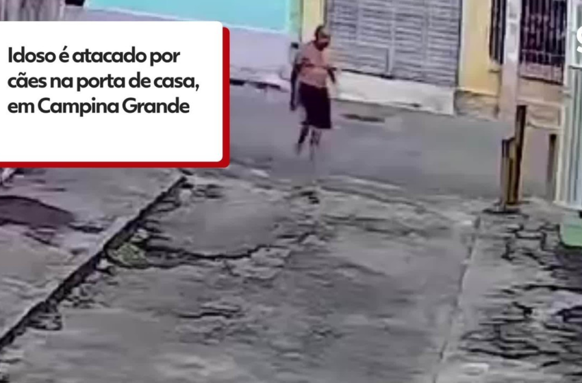  Idoso é atacado por cães na porta de casa, em Campina Grande; VÍDEO