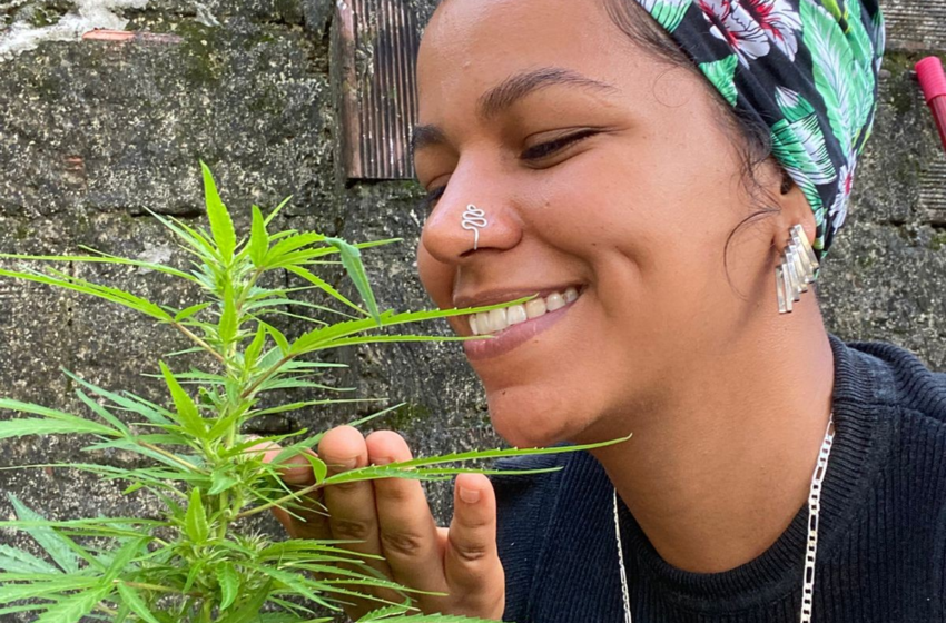 Estudante autorizada a plantar cannabis para fins medicinais relata alívio: 'segurança de cultivar a cura'