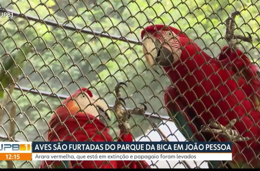  Bica vai ter novo sistema de câmeras de monitoramento após roubo de aves, em João Pessoa