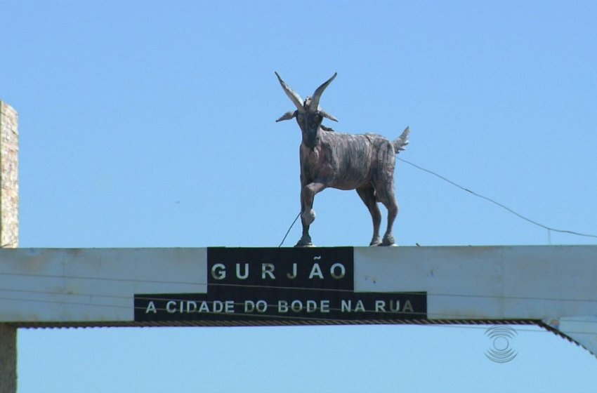 Festa do Bode na Rua em Gurjão, PB, começa nesta quinta (24)